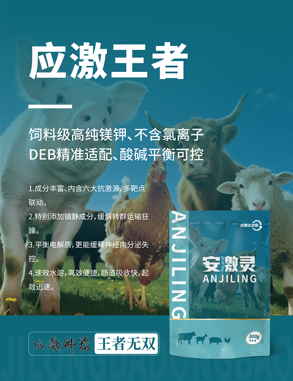 20250607产品海报-13