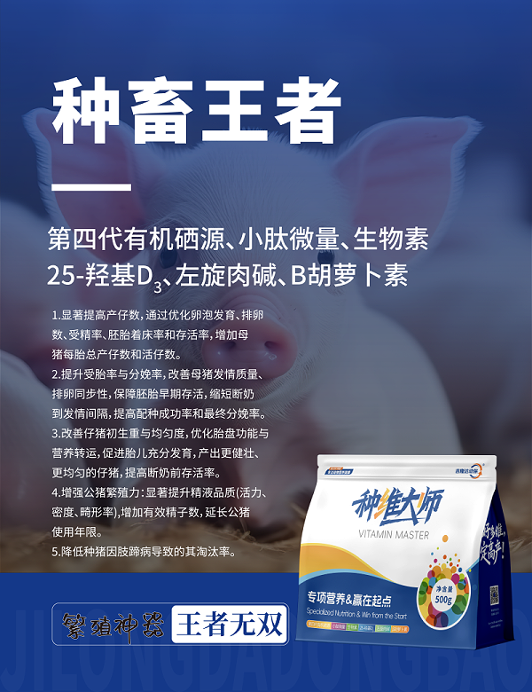 20250607产品海报-15
