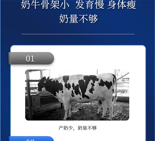 吉隆达动保牛饲料添加剂奶牛多矿产品介绍
