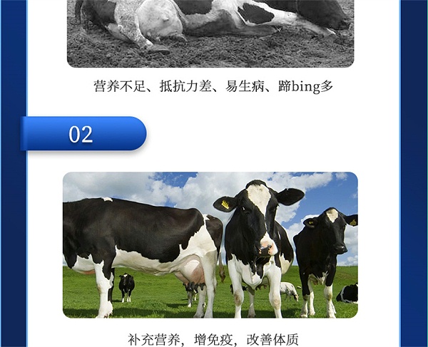 吉隆达动保牛饲料添加剂奶牛多矿产品介绍