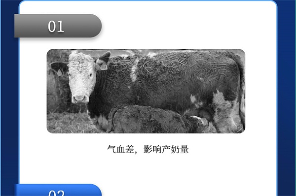 吉隆达动保牛羊饲料添加剂健立血牛羊产品介绍