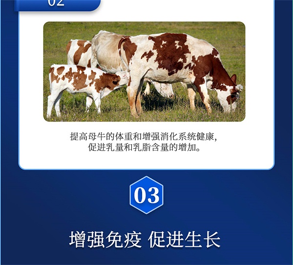 吉隆达动保牛羊饲料添加剂健立血牛羊产品介绍