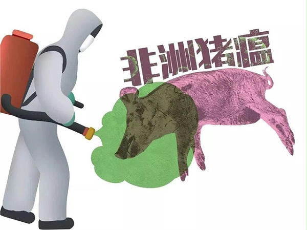 中国饲料发展论坛