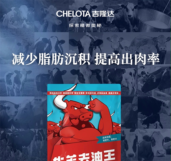 吉隆达动保牛羊饲料添加剂牛羊去油王