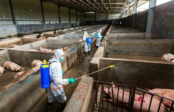 非洲猪瘟防控措施