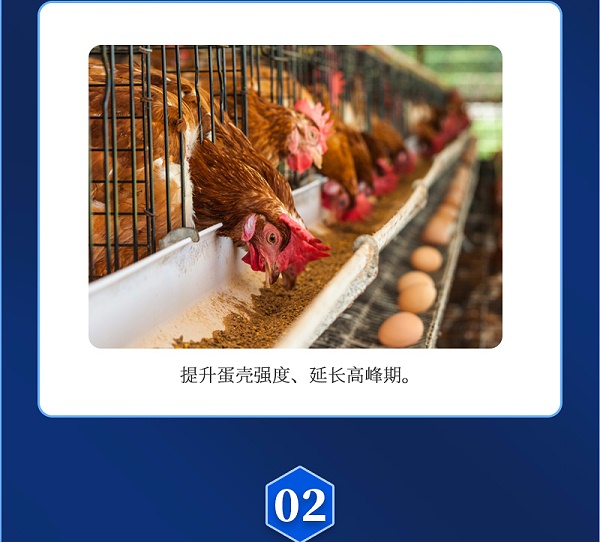 维无忧-详情_03