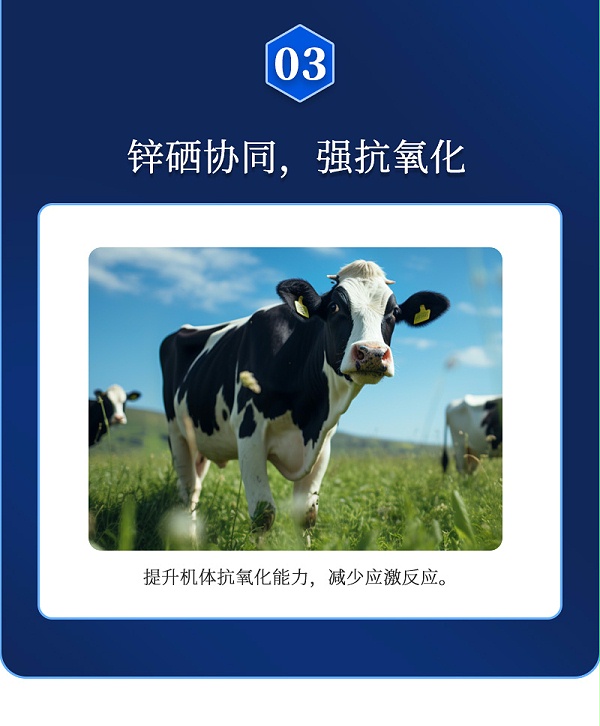 维无忧-详情_05