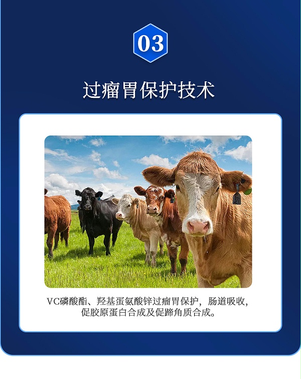 胃安肽详情_04