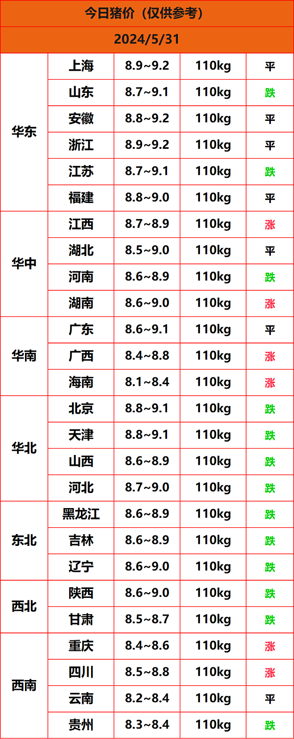 2024.5.31猪价