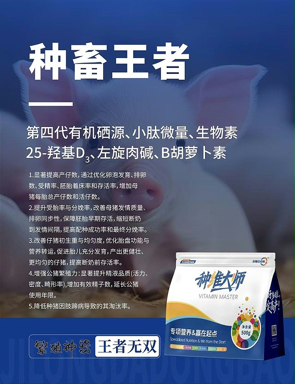种维大师小