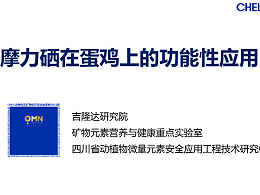 摩力硒在蛋鸡上的功能性应用