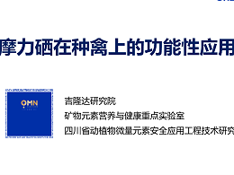摩力硒在种鸡上的功能性应用