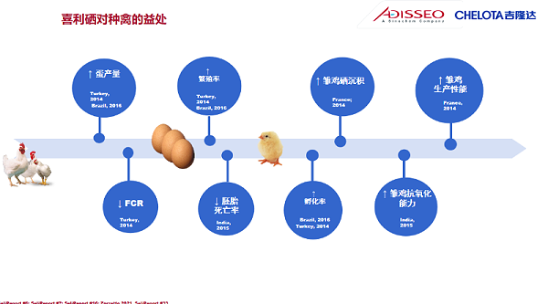 图片8