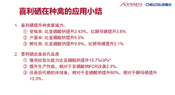 图片11