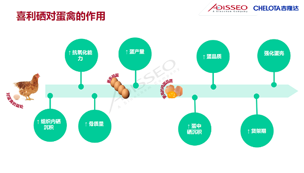 图片12