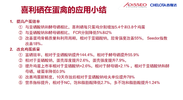 图片13