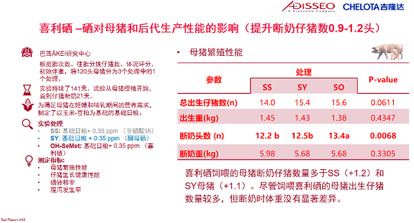 图片14