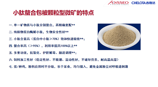 图片16