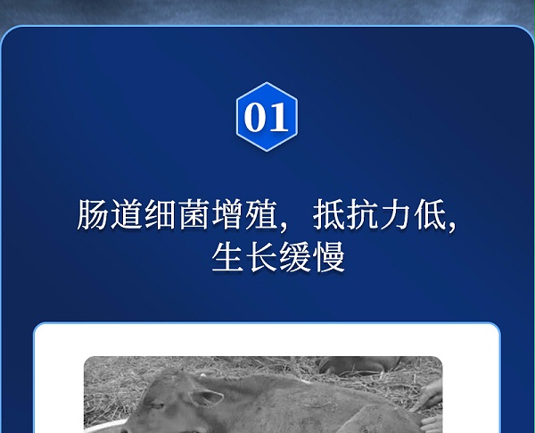 免独清详情_02