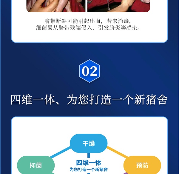 舍宝详情_04