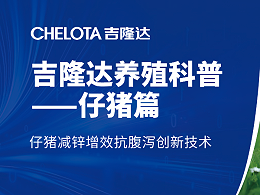 仔猪减锌增效抗腹泻创新技术·
