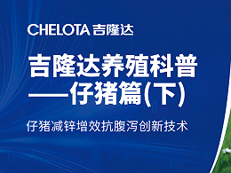 仔猪减锌增效抗腹泻创新技术（下篇）