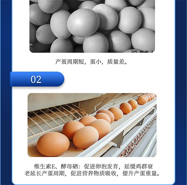 吉隆达动保禽饲料添加剂蛋高产品介绍