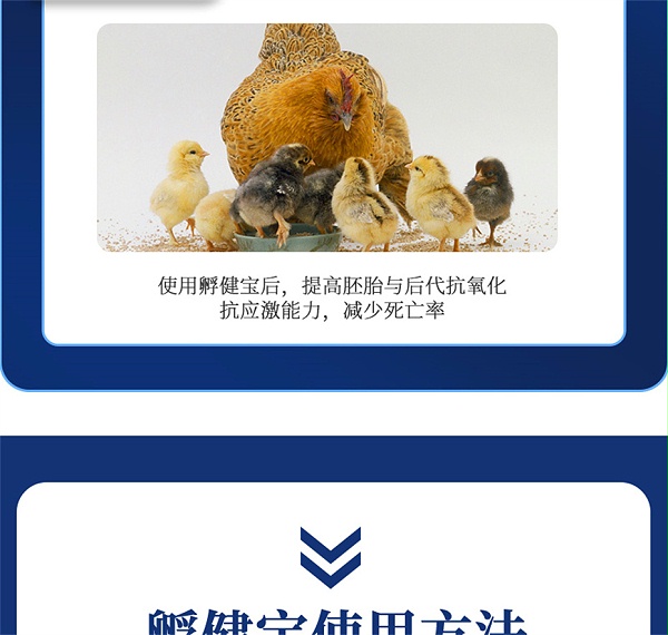 吉隆达动保禽饲料添加剂孵健宝产品介绍