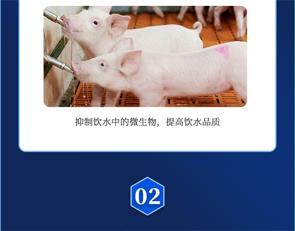 吉隆达动保猪饲料添加剂爱特酸产品介绍