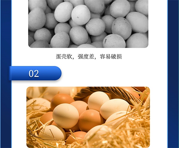 吉隆达动保禽饲料添加剂靓蛋宝产品介绍