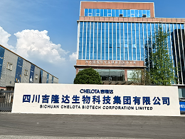 守正活力精益——吉隆达企业文化解读