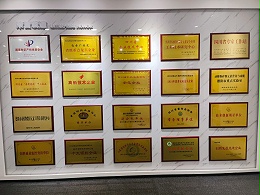 载誉前行——吉隆达品牌荣誉与行业认可