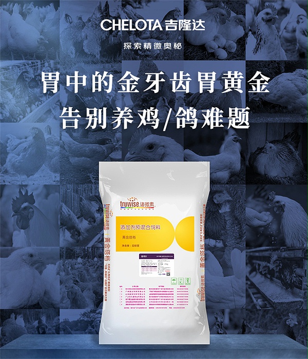 吉隆达动保禽饲料添加剂胃黄金