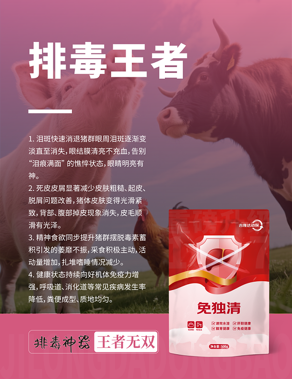 20250607产品海报-08