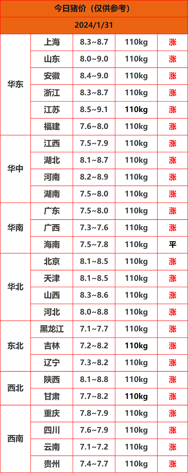 2024.1.31猪价