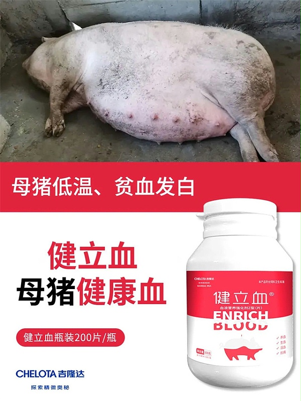 母猪保健-健立血