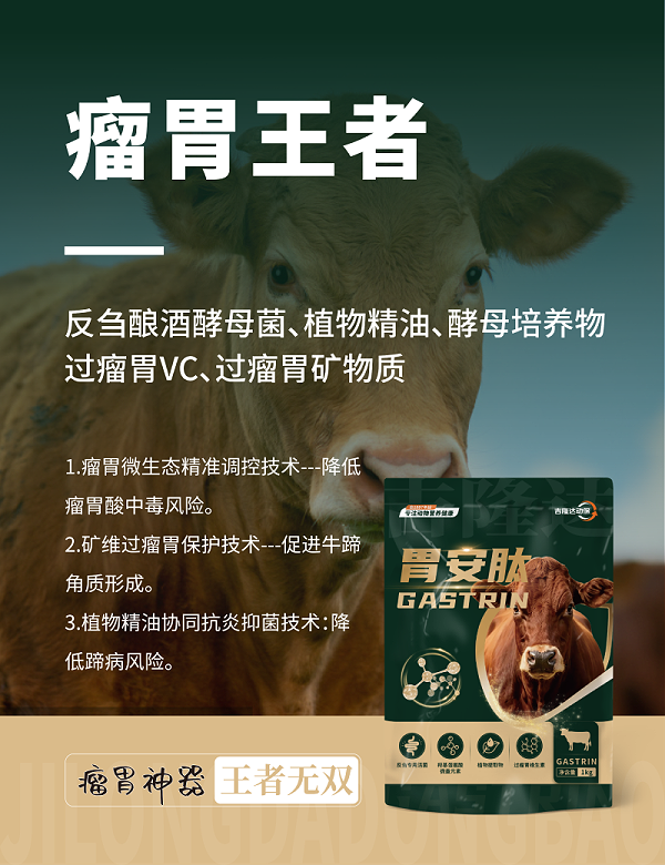 胃安肽