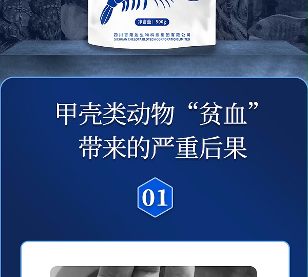 健立血虾详情_02
