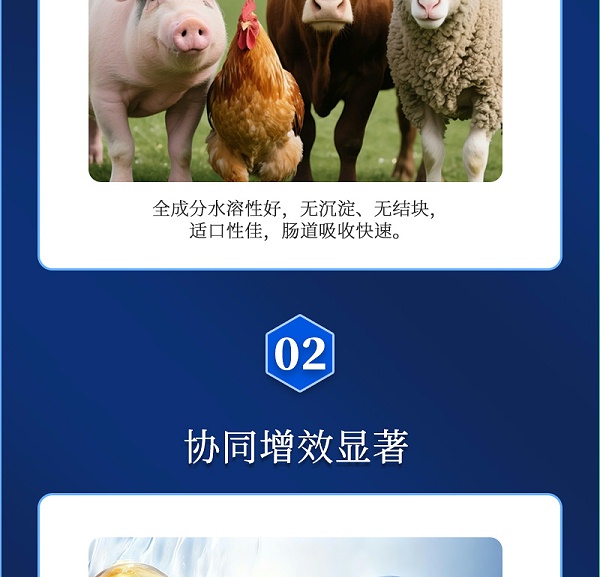 吉隆达动保牛羊饲料添加剂安激灵产品介绍