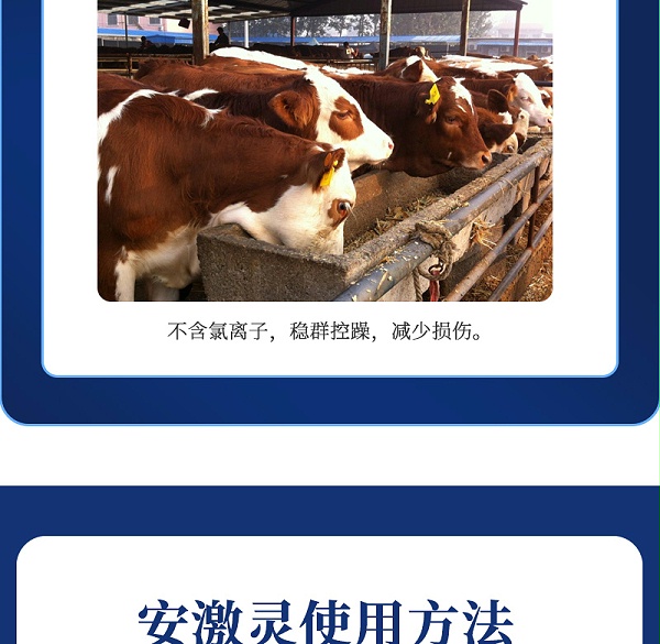 吉隆达动保牛羊饲料添加剂安激灵产品介绍