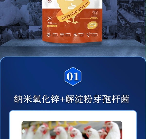 肠必健最新详情页_02