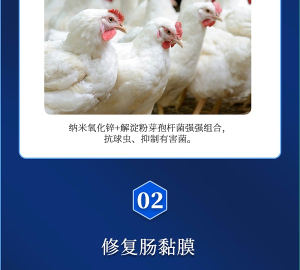 肠必健最新详情页_03