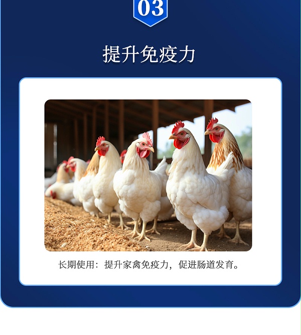 肠必健最新详情页_05