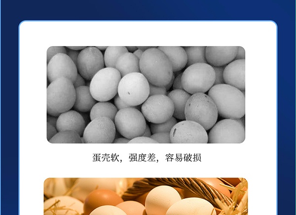 蛋无忧最新详情页_05