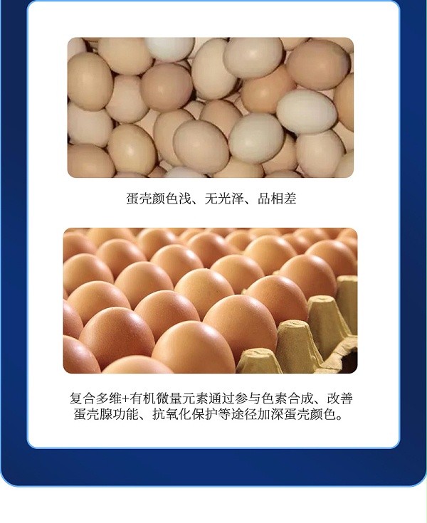 蛋无忧最新详情页_07