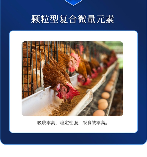 蛋无忧G1最新详情页_04