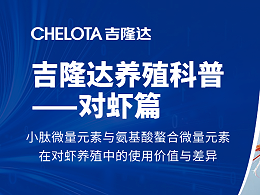 如何利用小肽微量元素提高对虾养殖效率
