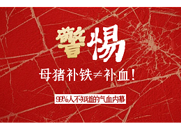 警惕！母猪补铁≠补血！99%不知道的气血内幕