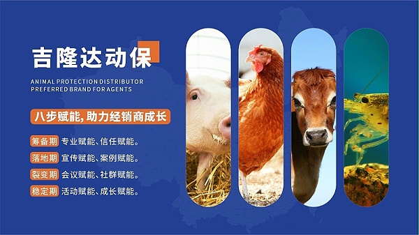 吉隆达动保底图1