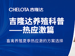 畜禽养殖夏季热应激的方案选择